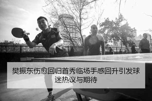 樊振东伤愈回归首秀临场手感回升引发球迷热议与期待